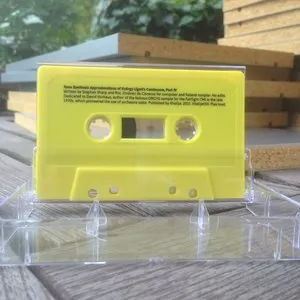 Pochette de Rave Synthesis Approximations of György Ligeti’s Continuum, Part IV de EVOL