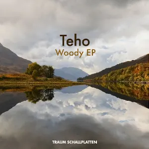 Pochette de Woody EP de Teho