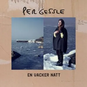 Pochette de En vacker natt de Per Gessle