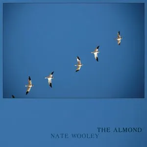 Pochette de The Almond de Nate Wooley