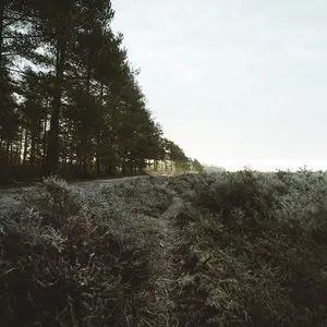 Pochette de Still on This Journey de Scott Lawlor