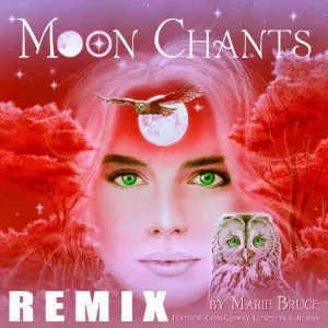 Pochette de Moon Chants - Earthy Remix de Llewellyn