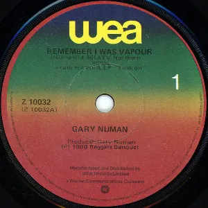 Pochette de Remember I Was Vapour de Gary Numan
