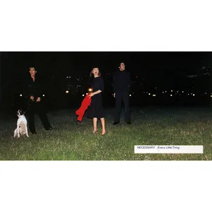 Pochette de NECESSARY de Every Little Thing