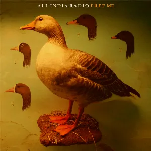 Pochette de Free Me de All India Radio