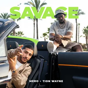 Pochette de Savage de Tion Wayne