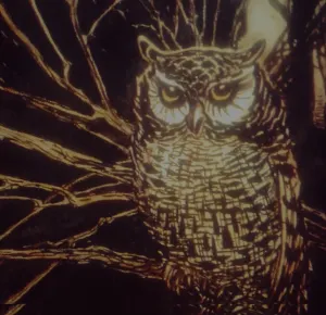 Pochette de Frequency de Kevin Drumm