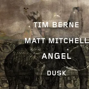 Pochette de Angel Dusk de Tim Berne
