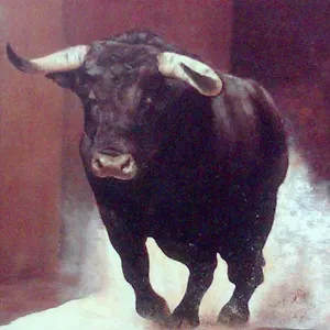 Pochette de 304: 0(2^18×5^18) de Bull of Heaven