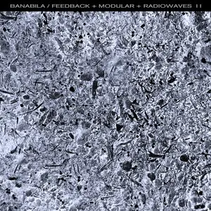 Pochette de Feedback + Modular + Radiowaves II de Michel Banabila