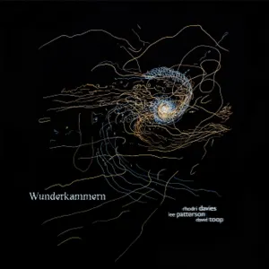 Pochette de Wunderkammern de David Toop