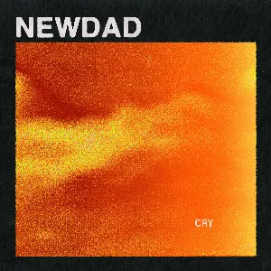 Pochette de Cry de NewDad