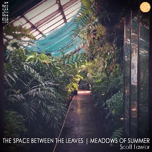 Pochette de The Space Between the Leaves / Meadows of Summer de Scott Lawlor