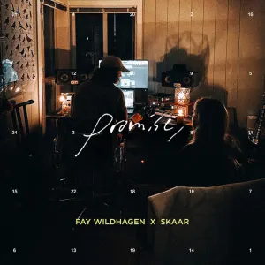 Pochette de promise, de SKAAR