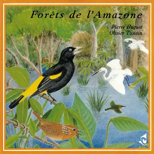 Pochette de Forêts de l’Amazone / Forests of the Amazon de Pierre Huguet - Olivier Tostain