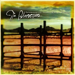 Pochette Outside Looking In: The Best of the Gin Blossoms