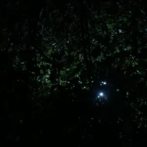 Pochette de Arden Heim EP de Ueda Takayasu