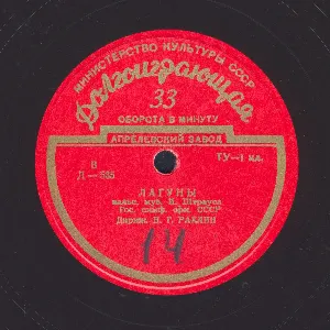 Pochette de На прекрасном голубом Дунае / Лагуны de State Academic Symphony Orchestra of Russia “Evgeny Svetlanov”
