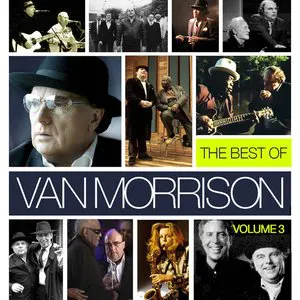 Pochette The Best of Van Morrison, Volume 3