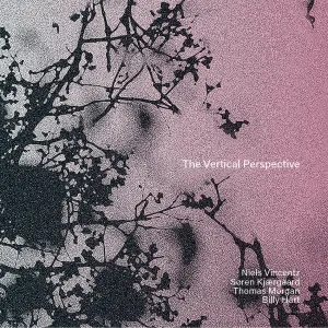 Pochette de The Vertical Perspective de Thomas Morgan - Billy Hart