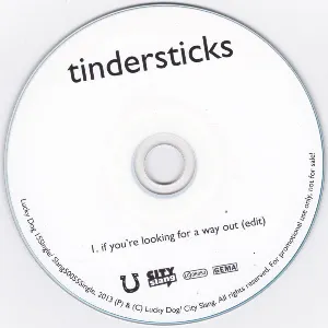 Pochette de If You’re Looking for a Way Out de Tindersticks