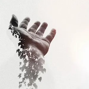 Pochette de Don’t Let Go de Linney