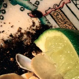 Pochette de Plays Bee Mask de Donato Dozzy