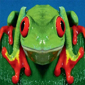 Pochette de Totem de DumDum Boys