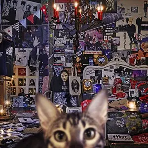 Pochette de CATALOGUE 1987-2016 de BUCK‐TICK