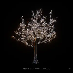 Pochette de Hope de Misanthrop