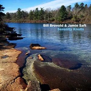 Pochette de Serenity Knolls de Jamie Saft