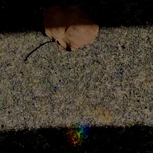 Pochette de Jugatsumatsu (Unliberty Coat) de Ueda Takayasu