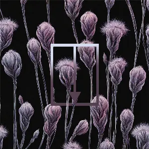 Pochette de ⍗⍗⍗ de Scott Lawlor