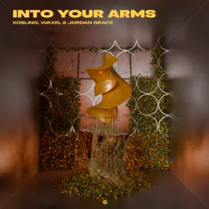 Pochette de Into Your Arms de Jordan Grace