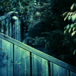 Pochette de Chrysoprase de Jesse Somfay