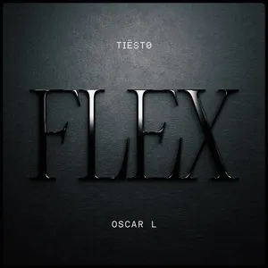 Pochette de Flex de Tiësto