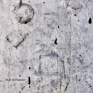 Pochette de The Computer May Disagree de Bull of Heaven