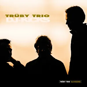 Pochette DJ-Kicks: Trüby Trio