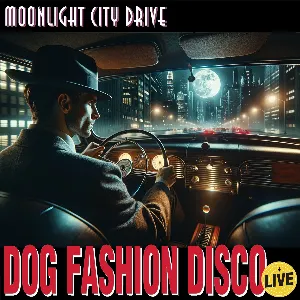 Pochette Moonlight City Drive (live)