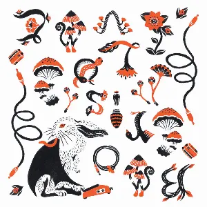 Pochette de LΦVE & EVΦL de Boris