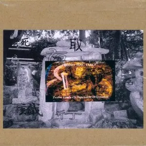 Pochette de Twelve Limbs of Dependent Origination de Dissecting Table