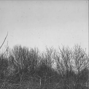 Pochette de GN / Scanner de Geins’t Naït