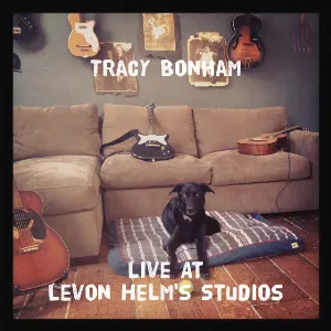 Pochette Live at Levon Helm's Studios