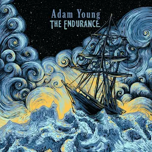 Pochette de The Endurance de Adam Young