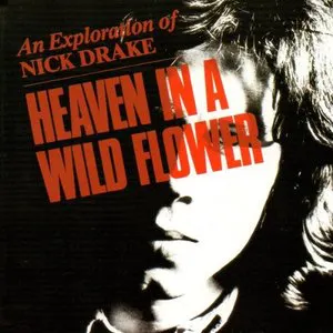 Pochette Heaven in a Wild Flower: An Exploration of Nick Drake