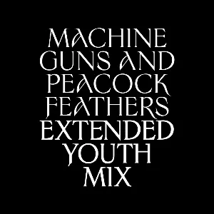 Pochette Machine Guns and Peacock Feathers (extended Youth mix)