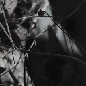 Pochette de Twilight of Perception 10 de Vidna Obmana