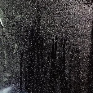 Pochette de くちづけ de Plastic Tree