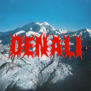 Pochette de Denali de Portugal. The Man