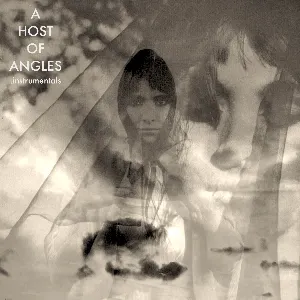 Pochette de A host of angles (instrumentals) de Shitao